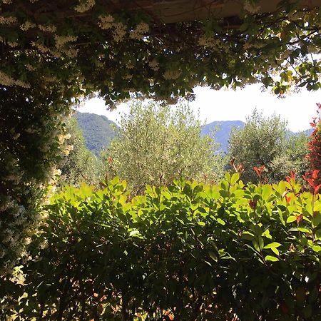 Agriturismo Tenuta La Fratta Bagni di Lucca Εξωτερικό φωτογραφία