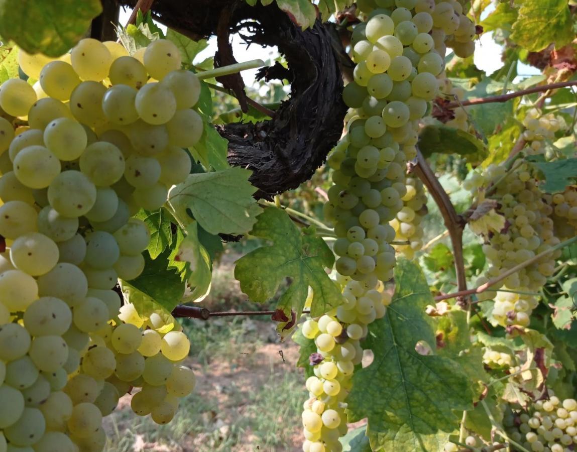 Agriturismo Tenuta La Fratta Bagni di Lucca Εξωτερικό φωτογραφία