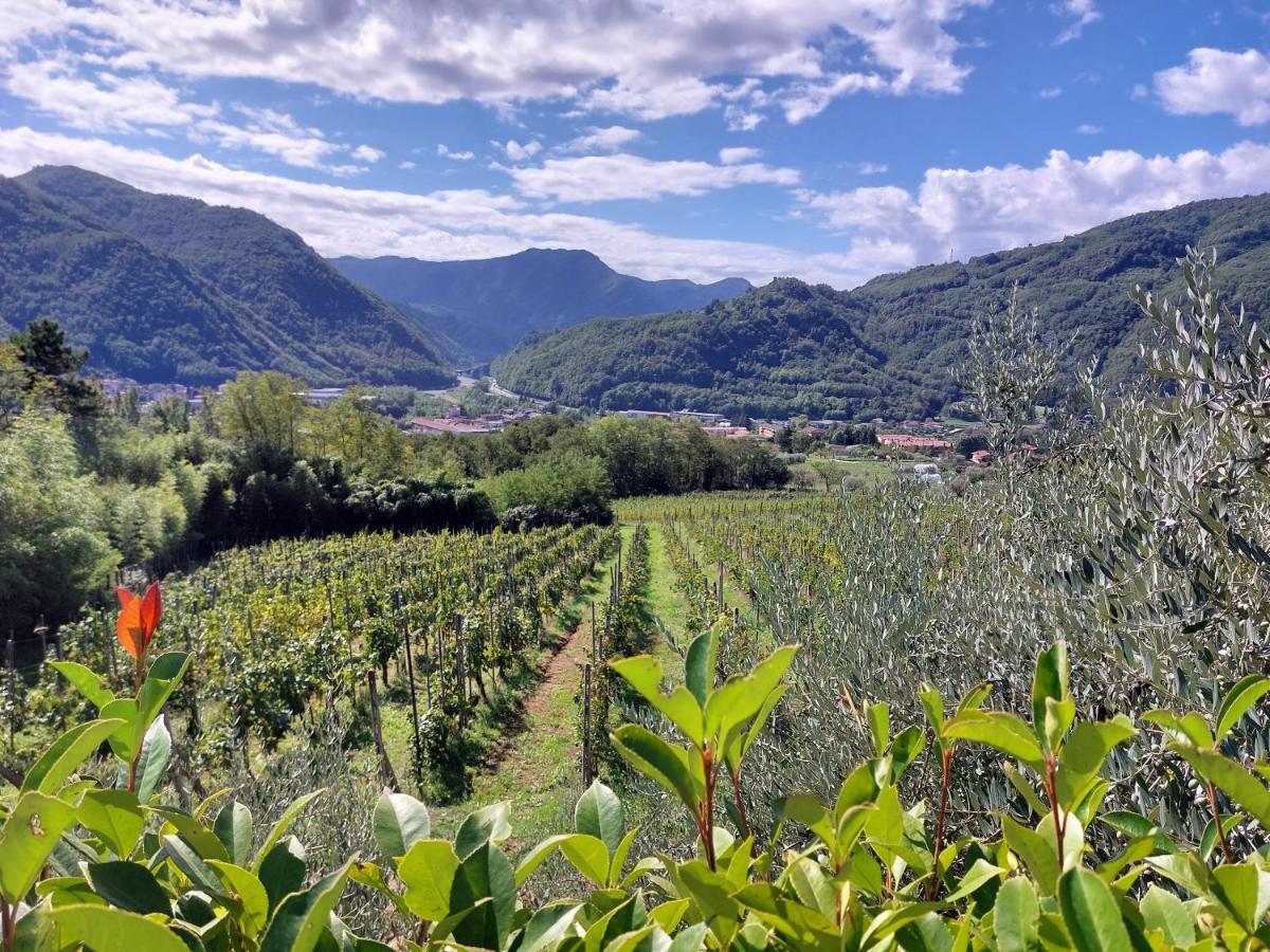 Agriturismo Tenuta La Fratta Bagni di Lucca Εξωτερικό φωτογραφία
