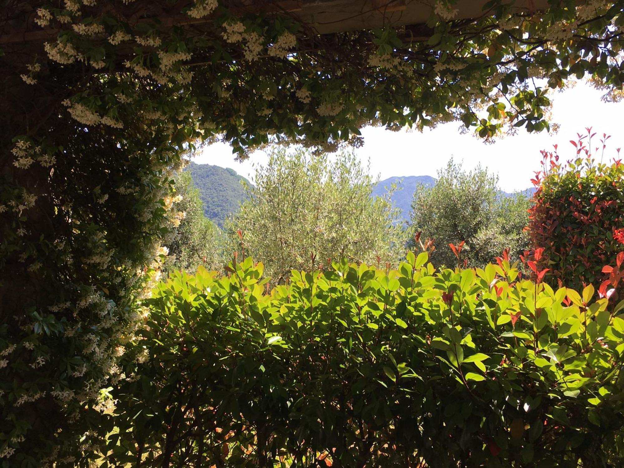 Agriturismo Tenuta La Fratta Bagni di Lucca Εξωτερικό φωτογραφία