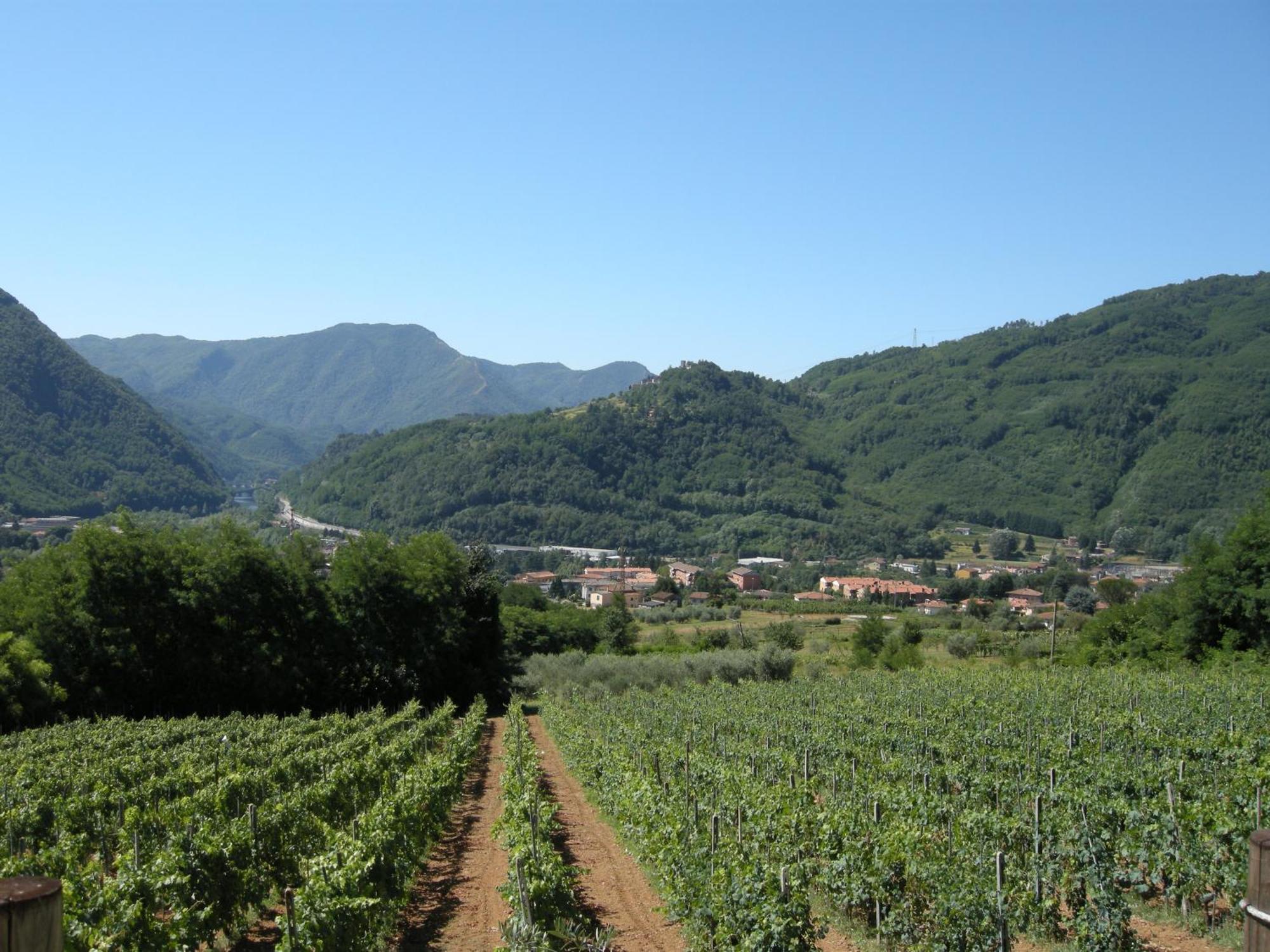Agriturismo Tenuta La Fratta Bagni di Lucca Εξωτερικό φωτογραφία