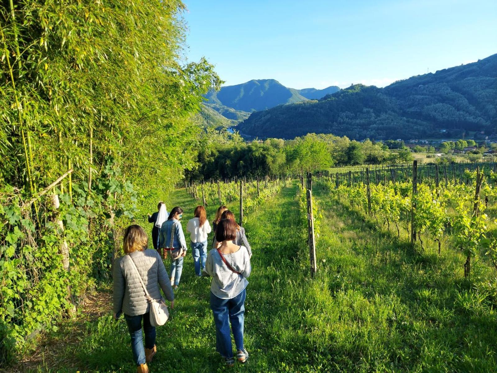Agriturismo Tenuta La Fratta Bagni di Lucca Εξωτερικό φωτογραφία