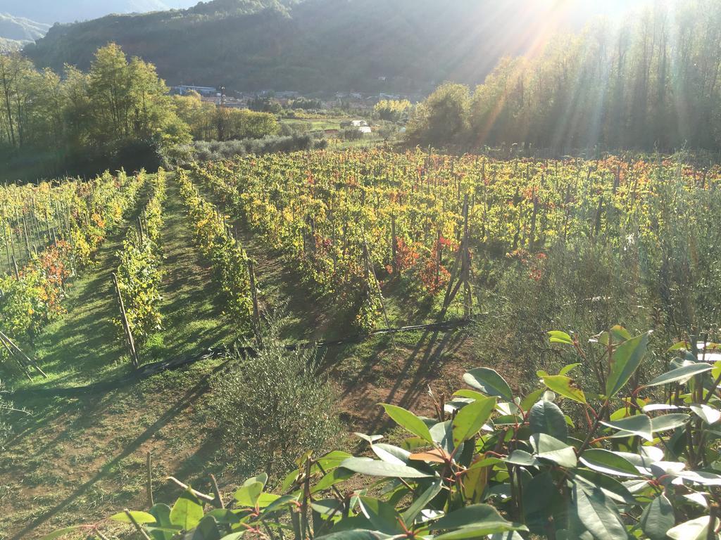 Agriturismo Tenuta La Fratta Bagni di Lucca Εξωτερικό φωτογραφία