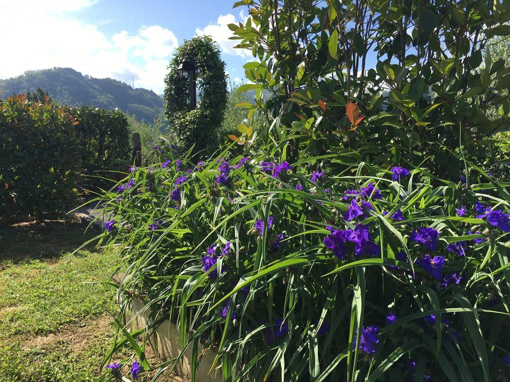 Agriturismo Tenuta La Fratta Bagni di Lucca Εξωτερικό φωτογραφία