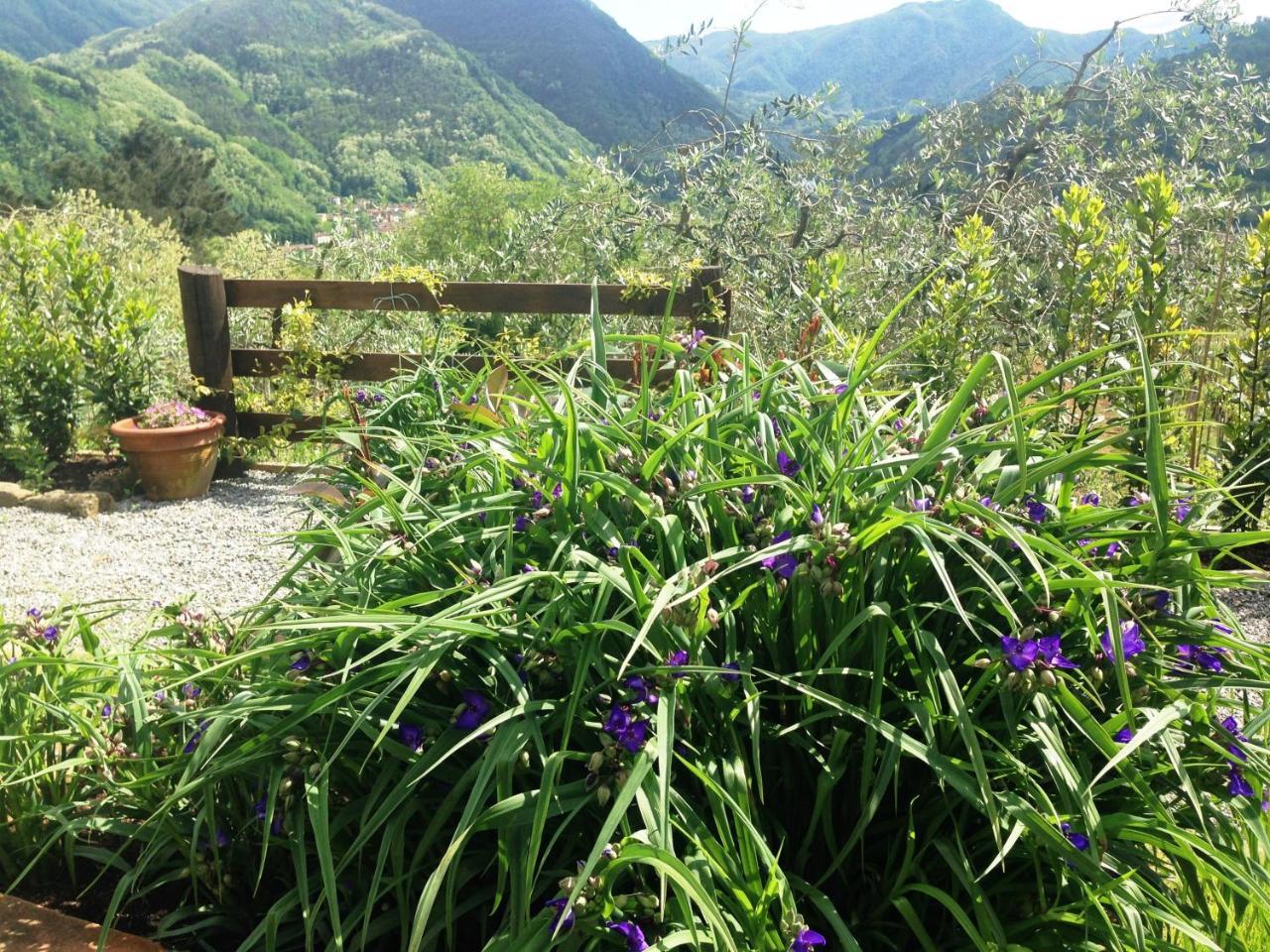 Agriturismo Tenuta La Fratta Bagni di Lucca Εξωτερικό φωτογραφία