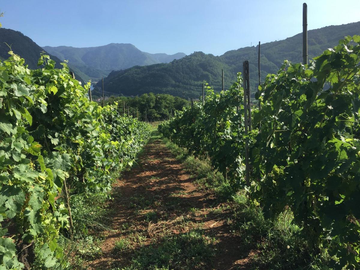 Agriturismo Tenuta La Fratta Bagni di Lucca Εξωτερικό φωτογραφία